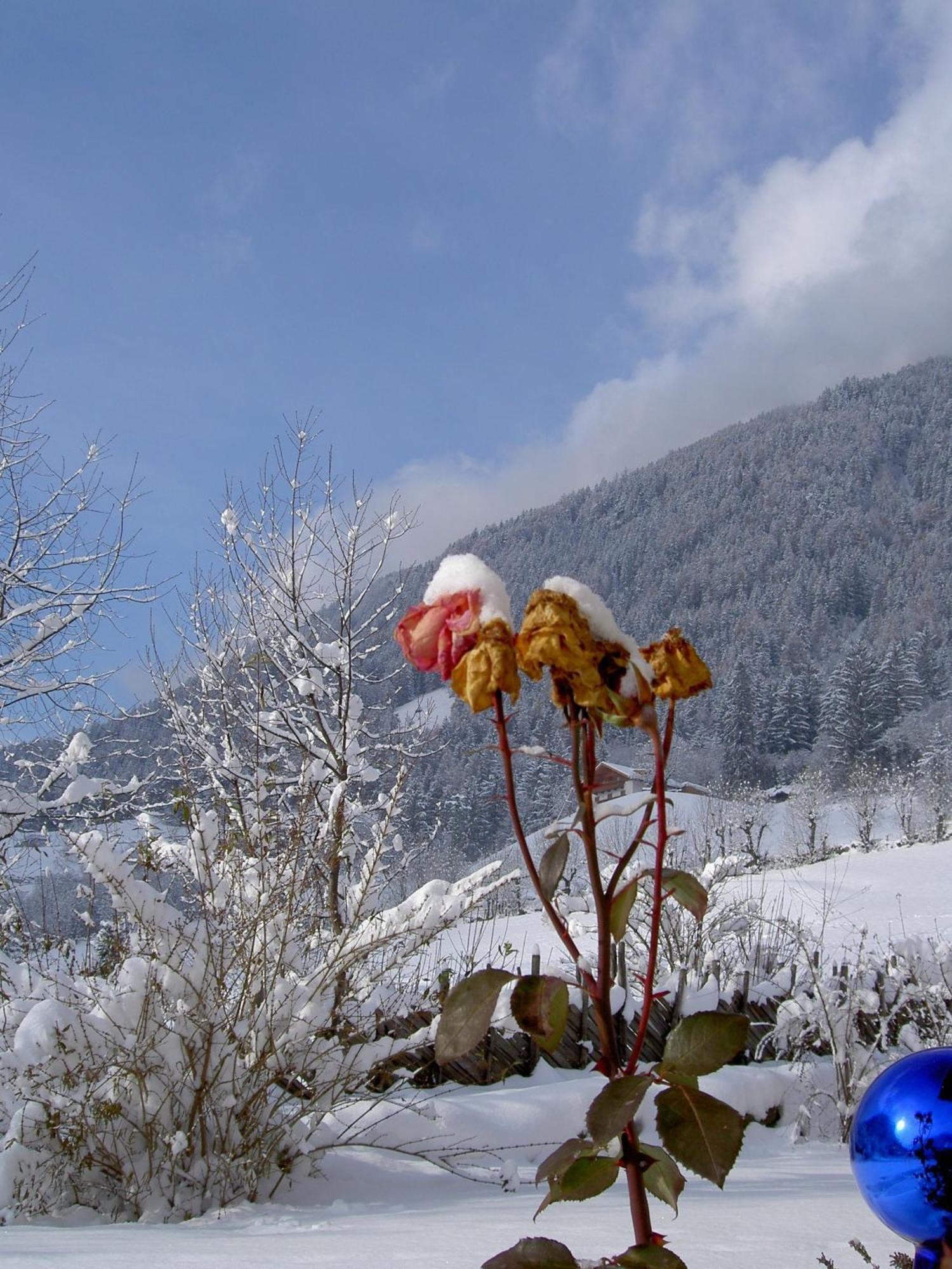 Haus Tirol 2*